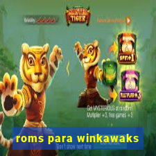 roms para winkawaks